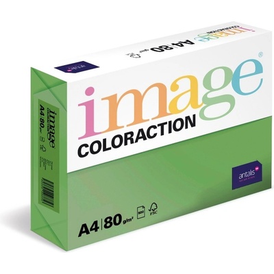 Image Coloraction A4 80 g Tmavě zelená 100 ks