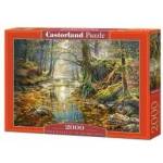 Castorland Puzzle 2000 pcs. Reminiscence of the Autumn Forest