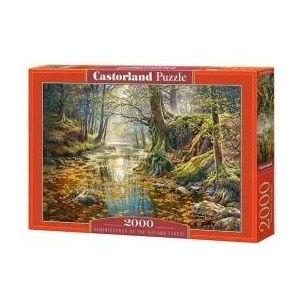 Castorland Puzzle 2000 pcs. Reminiscence of the Autumn Forest