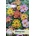 Opal Zi Мимулус Mimulus tigrinus
