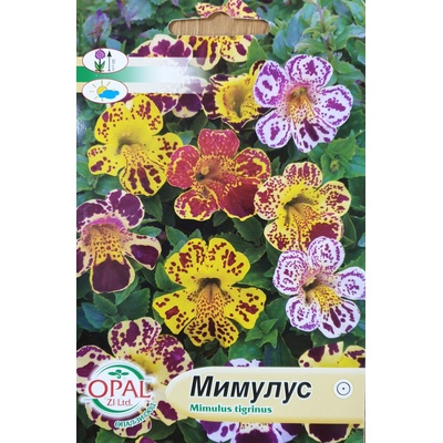 Opal Zi Мимулус Mimulus tigrinus