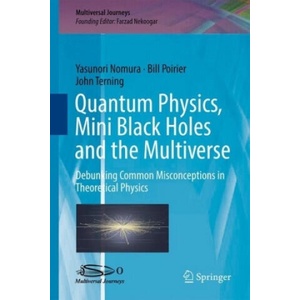 Quantum Physics, Mini Black Holes, and the Multiverse | Farzad Nekoogar, Yasunori Nomura, Bill Poirier, John Terning (2017)