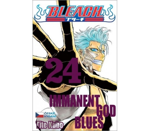 Bleach 24