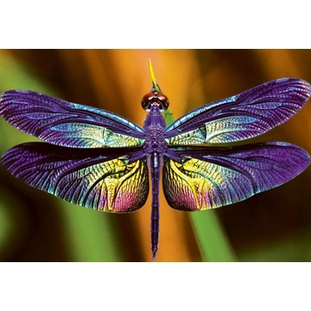 Interdruk Vážka 250 dielov