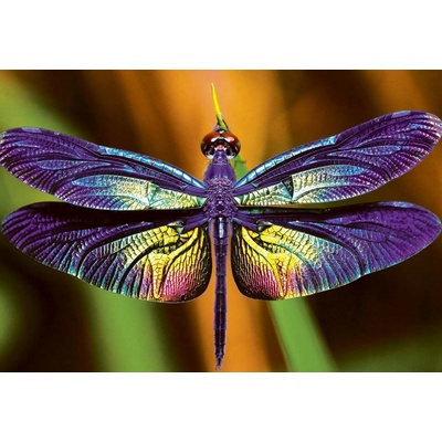 Interdruk Vážka 250 dielov