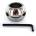 Kiotos Steel Oval Ballstretcher 70mm