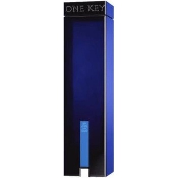 One Key Gin 40% 0,7 l (čistá fľaša)