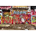 DIMEX ART Флизелинов фототапет улица с графити 375 x 250 см