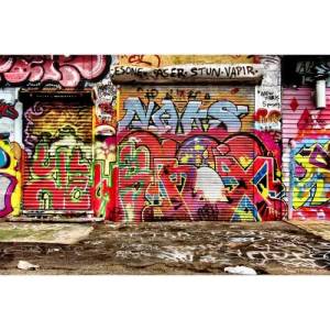DIMEX ART Флизелинов фототапет улица с графити 375 x 250 см
