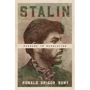 Stalin | Ronald Grigor Suny (ISBN: 9780691182032)
