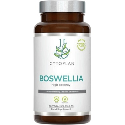 Cytoplan Boswellia kloubní výživa 400 mg 60 vegan kapslí