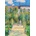 Art Puzzle - Puzzle Claude Monet: The Artist's Garden - 1 000 piese