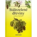 Stálezelené dřeviny