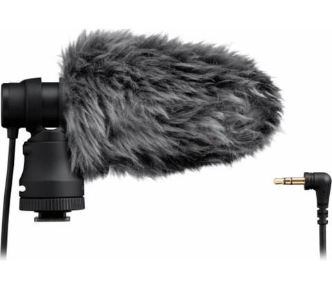 Canon DM-E100