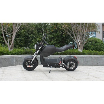 EcoWheel Chooper GR25 12Ah