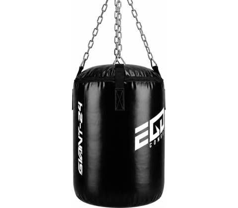 GIANT-24 Ego Combat