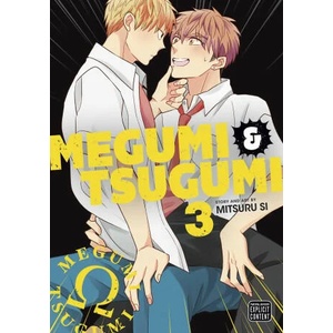 Megumi & Tsugumi, Vol. 3 (ISBN: 9781974738892)