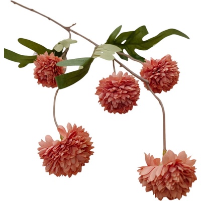 Chryzantéma mini stvol 50 cm - korálová
