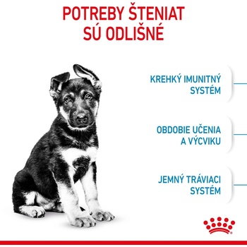 Royal Canin Maxi Puppy 1 kg