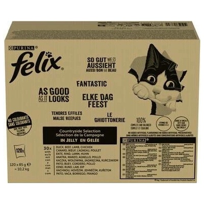 Felix Fantastic Country Flavors kapsičky v želé mx příchutí 120 x 85 g