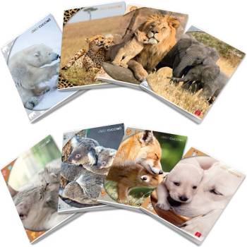 Pigna Тетрадка Pigna Maxi Dolci Cuccioli А4 42 л (1120352-0232597-0C)