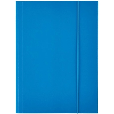 Esselte Economy blue 13435