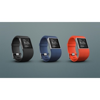Fitbit Surge Large