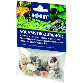 Hobby Set malých mušlí 20 ks