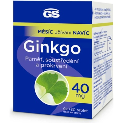 GS Ginkgo 40 mg 90+30 tablet