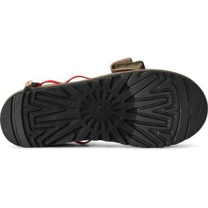 UGG Пантофи M Tasman Wildwood (1180110.BVRD)