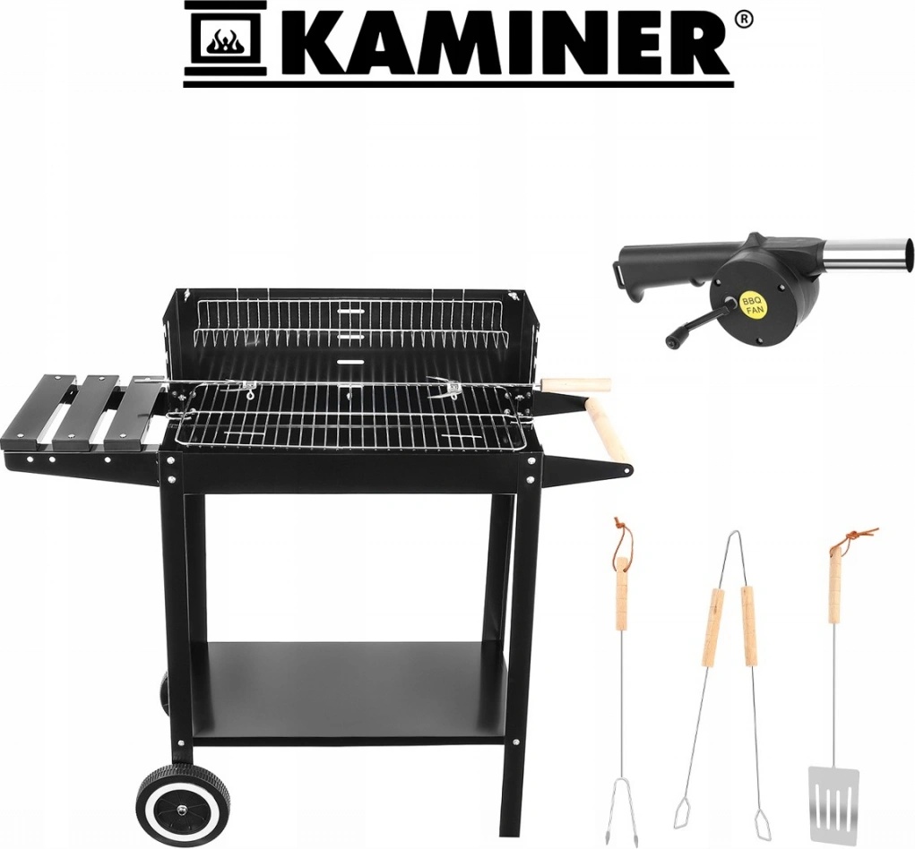 Kaminer 9793