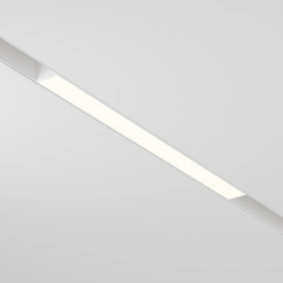 MAYTONI TR030-2-12W3K-W