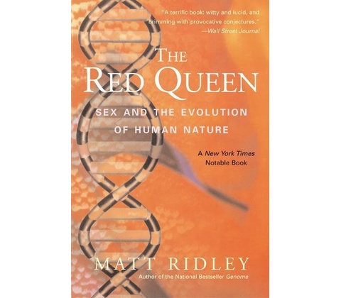 The Red Queen