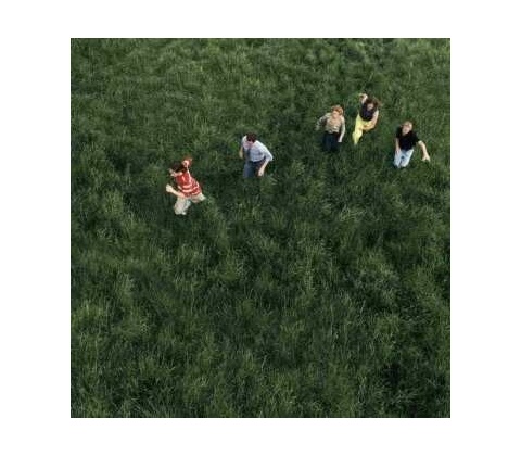 Parcels - Loved (Gatefold Sleeve) LP