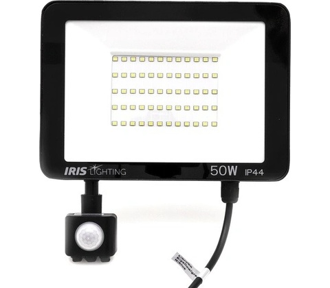 Iris Lighting 10824684