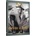 Nevíte o bytě?, digipack DVD
