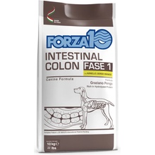 Forza 10 Intestinal Colon Phase 1 jahňacie 2 x 10 kg