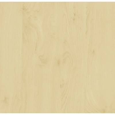 D-C-Fix Samolepiaca fólia® drevodekor breza 45x200 cm