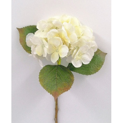 Hortenzia biela 48 cm biela