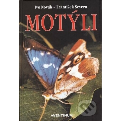 Motýli