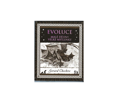 Evoluce - Gerard Cheshire