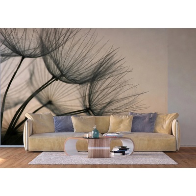 Ag Design FTNXXL-2494 Vliesová fototapeta Odkvetlé pampelišky rozměry 360 x 270 cm