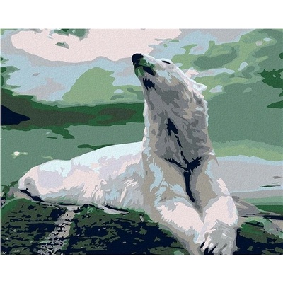 Zuty Malování podle čísel Lední medvěd 100 x 80 cm bez rámu a bez vypnutí plátna