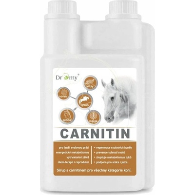 DROMY L-Carnitin sirup 1 l