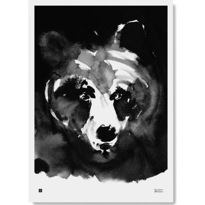Plakát Mysterious Bear velký 50x70 cm Teemu Järvi Illustrations