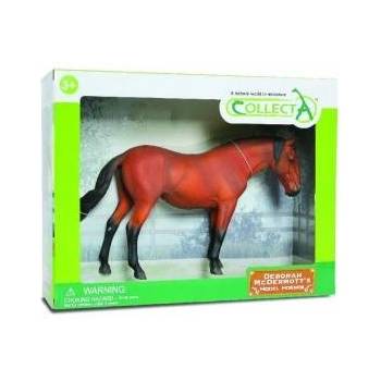 CollectA KON DELUX LUISTIANO MARE BAY Figure