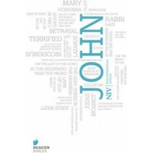 NIV Gospel of John (2011)