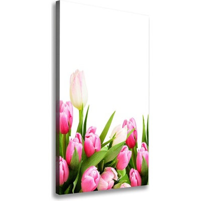 Vertikálny foto obraz na plátne Ružové tulipány 50x100 cm