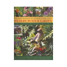 Best Plants to Attract and Keep Wildlife in the Garden Lavelle Christine