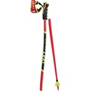 Leki WCR TBS GS 3D 2021/22